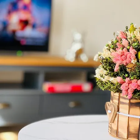 Twenty Five Apartment Bei Dresden - Free Parking, Massage-Stuhl, Netflix & Coffee Machine *